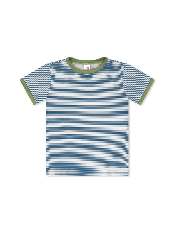Bradley Basic Tee -  Baton Rouge Blue Ministripe, Pistachio Green
